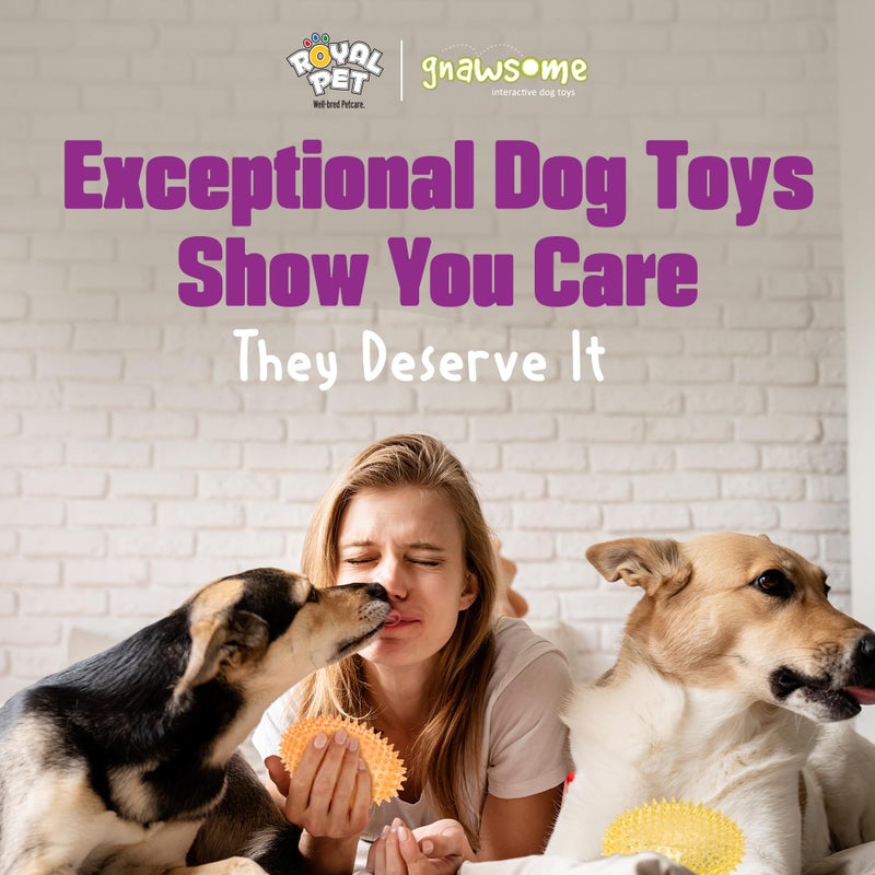 Gnawsomeâ„¢ 4.5â€ Spiky Squeaker Football Dog Toy - Large, Cleans Teeth and Promotes Good Dental and Gum Health for Your Pet, Colors Will Vary,All Breed Sizes - Image 5